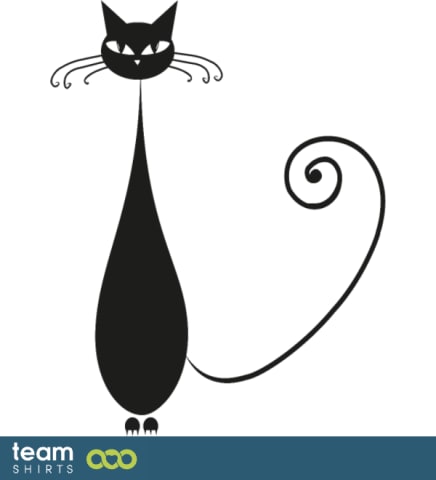thin cat