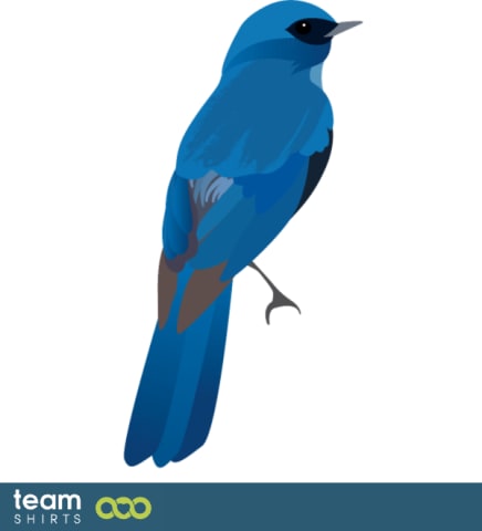 bird