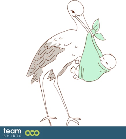 Stork with baby