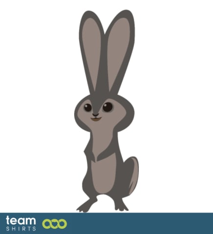 rabbit