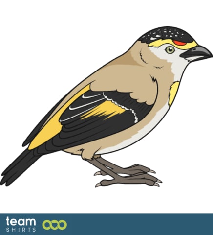 bird
