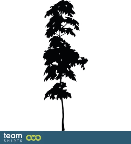 pine tree