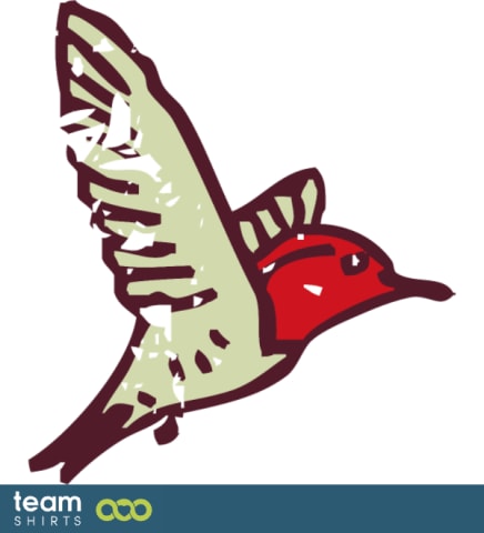 Humming bird