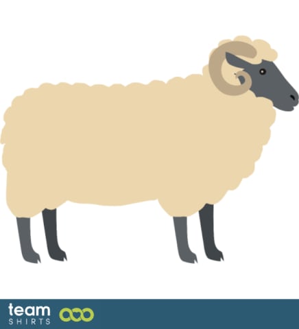 sheep