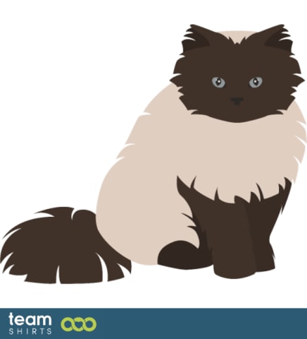 Vectorstock 10334014HimalayanColorpointPersianpng0