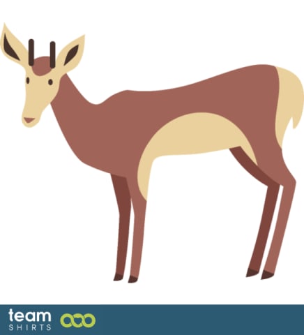 antelope