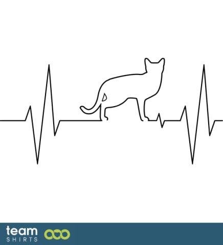 ECG cat