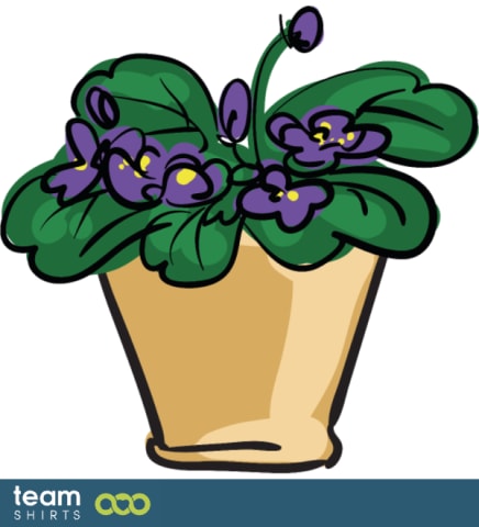 indoor plant