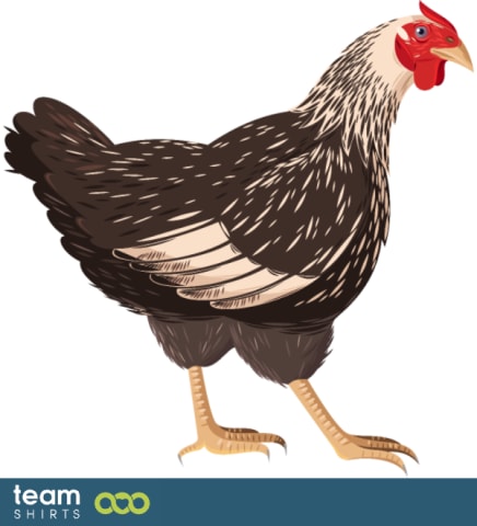 Realistic chicken