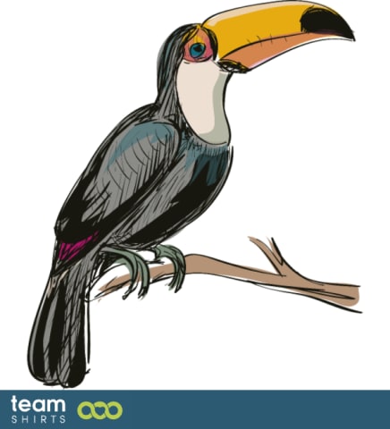 toucan