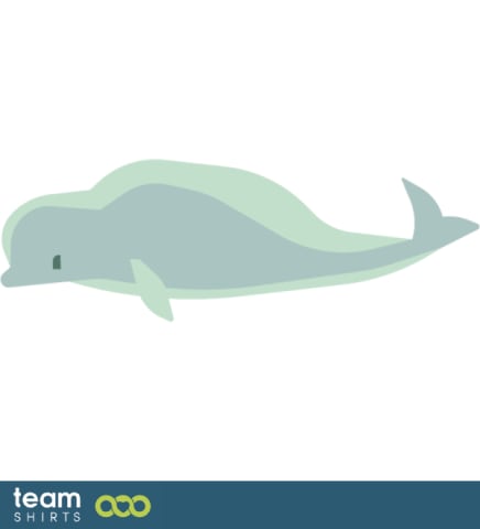 Beluga whale