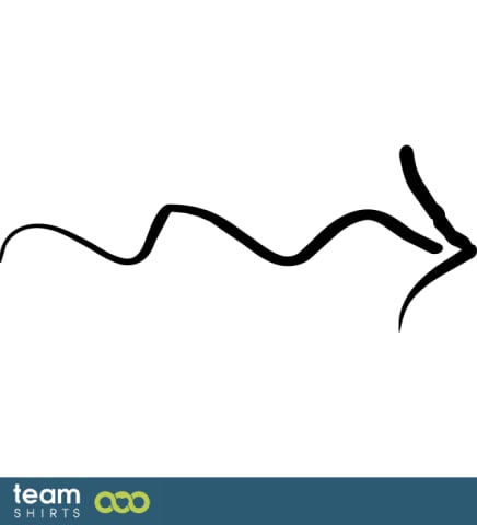 winding arrow