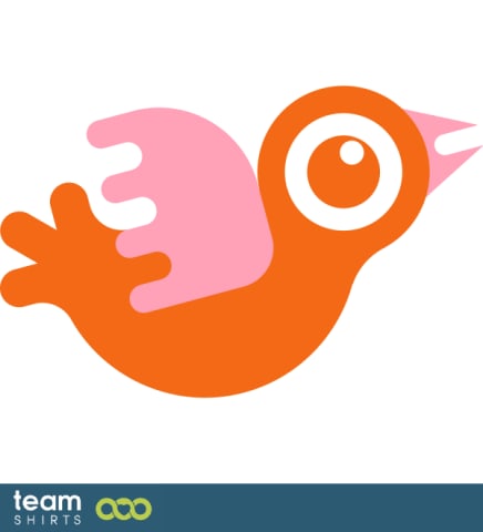 little bird