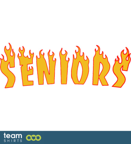amg seniors flames