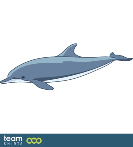 dolphin