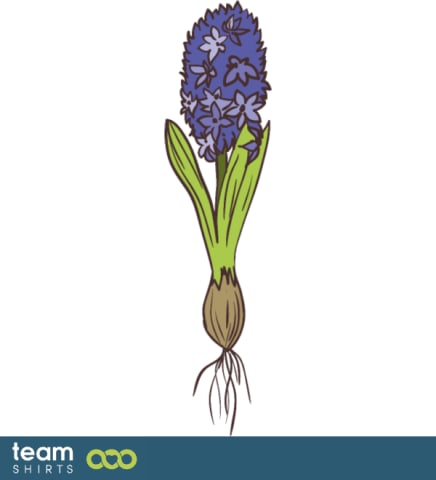 Hyacinth