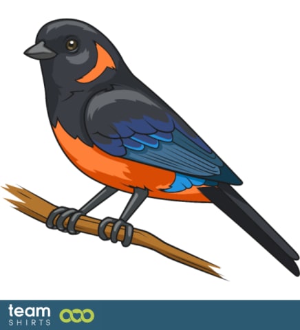 bird