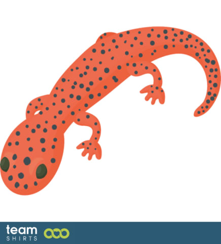 Lizard