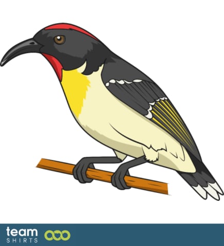 bird