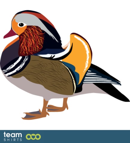 mandarin duck