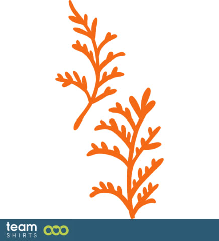 grass plant