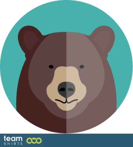 Bear face