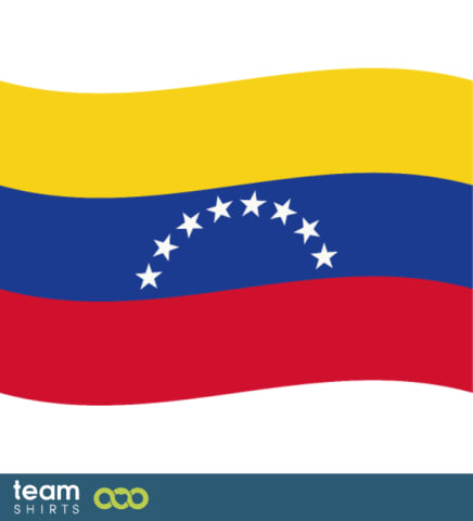 flag venezuela