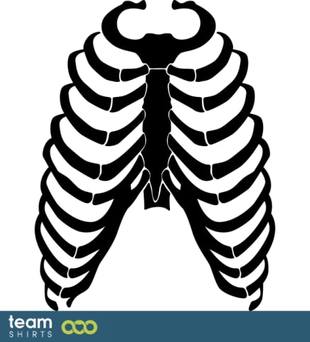 thorax