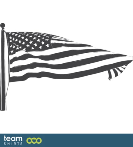 USA flag