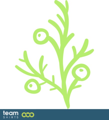 branch