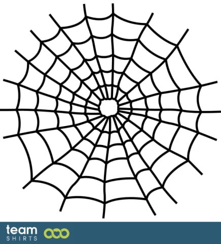 Spider web