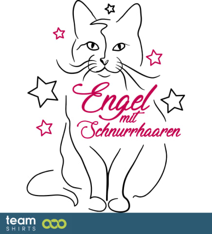 katze3