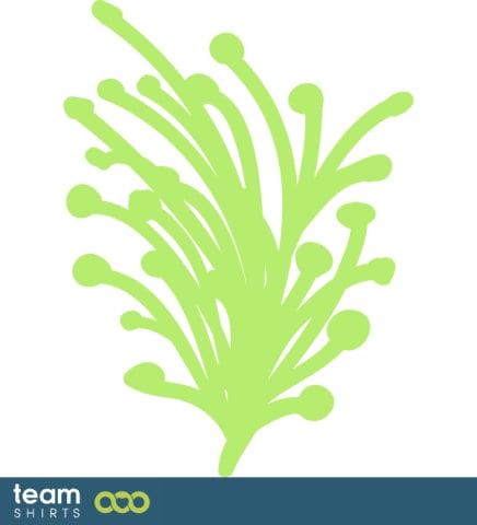 branch