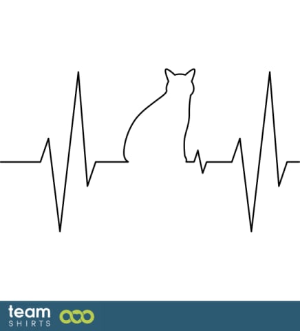 ECG cat