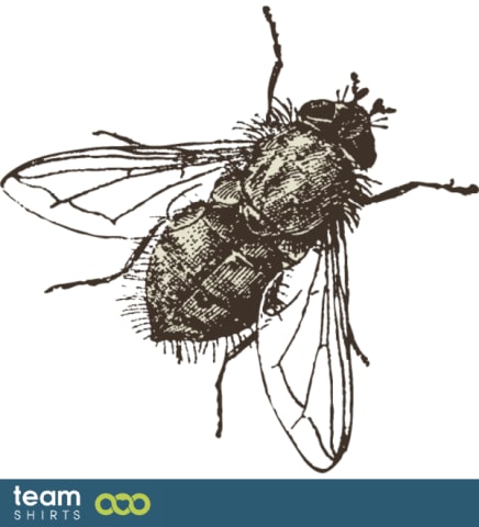 Fly