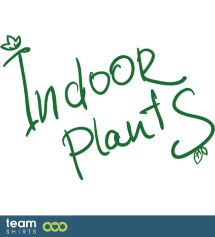 indoor plant type