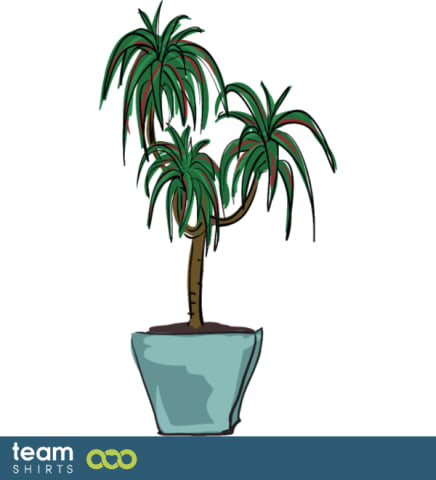 indoor palmtree