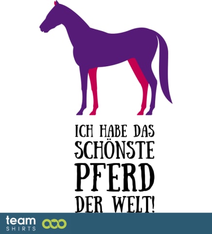 Schönstes Pferd 2