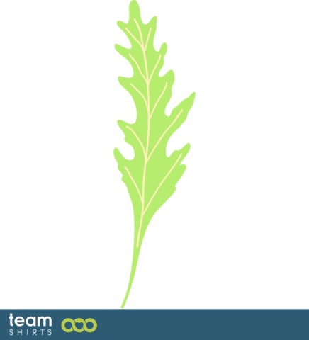 Rucola