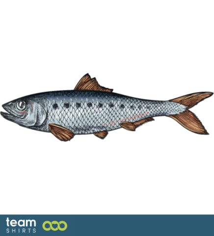 herring