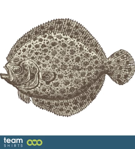 plaice