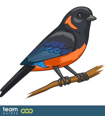 bird