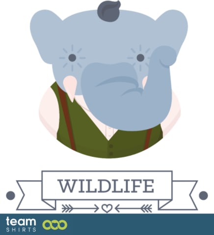 Wildlife elephant
