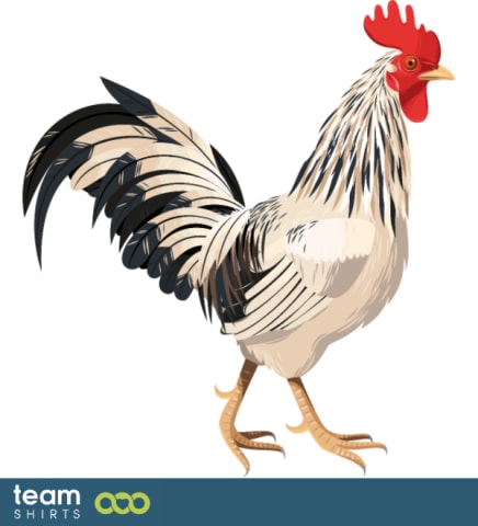 Realistic rooster