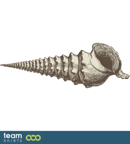 shell