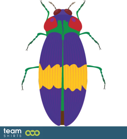 Bug