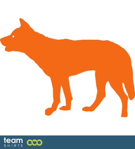 dingo