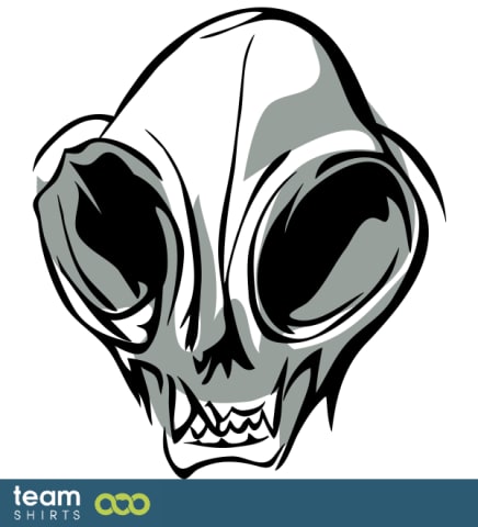 mouse skull