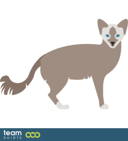 Vectorstock 10334014Balinesepng0141