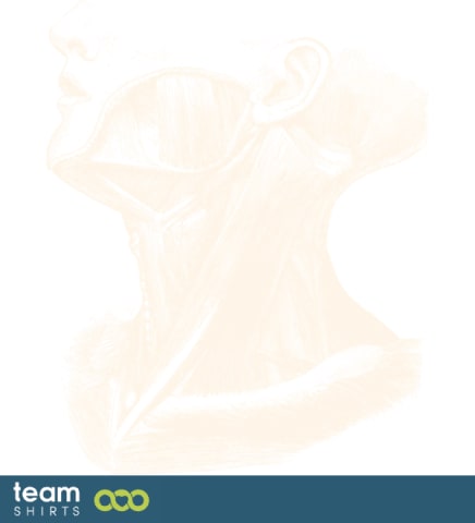 Anatomical neck